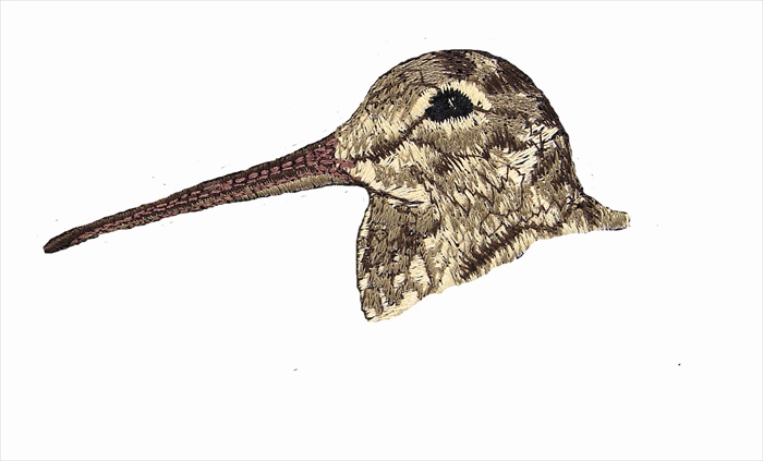 Ζακέτα BENISPORT 238/ΘΗΡΑΜΑ