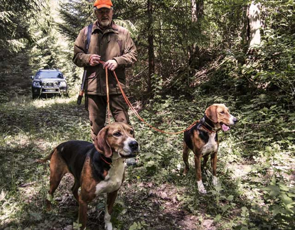 ΣΧΟΙΝΙ RUNLOCK HUNTING LEASH