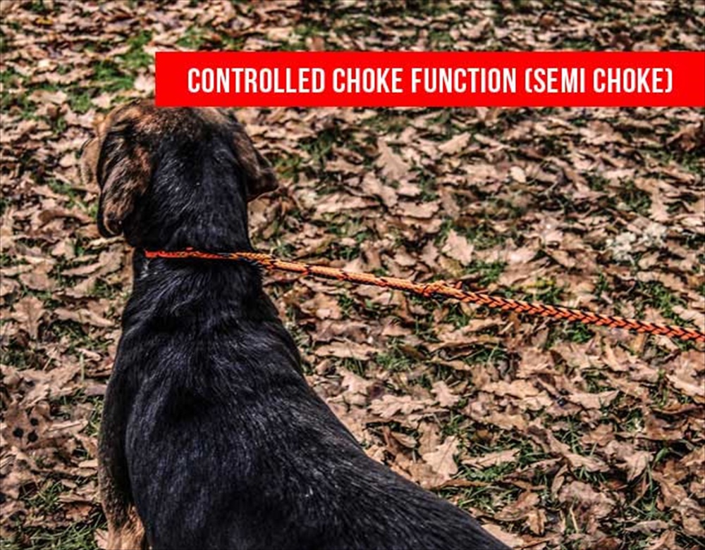 ΣΧΟΙΝΙ RUNLOCK HUNTING LEASH