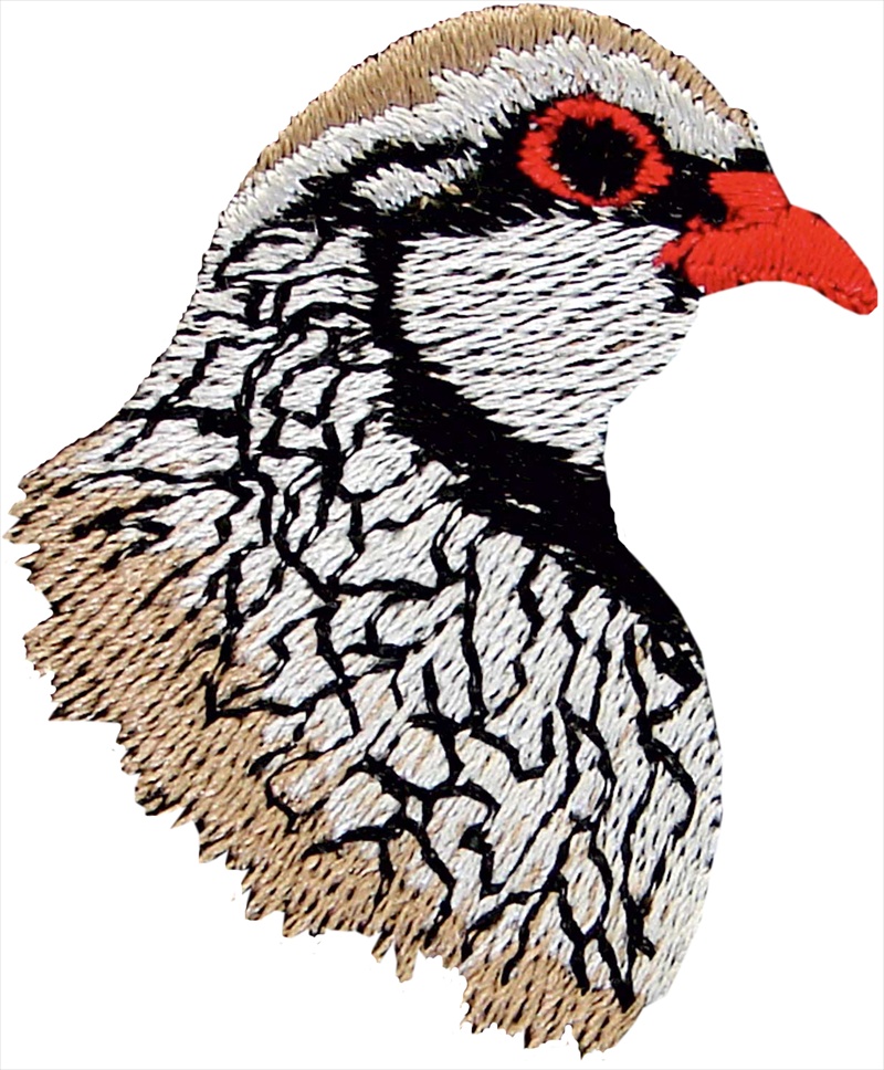 Ζακέτα BENISPORT 238/ΘΗΡΑΜΑ