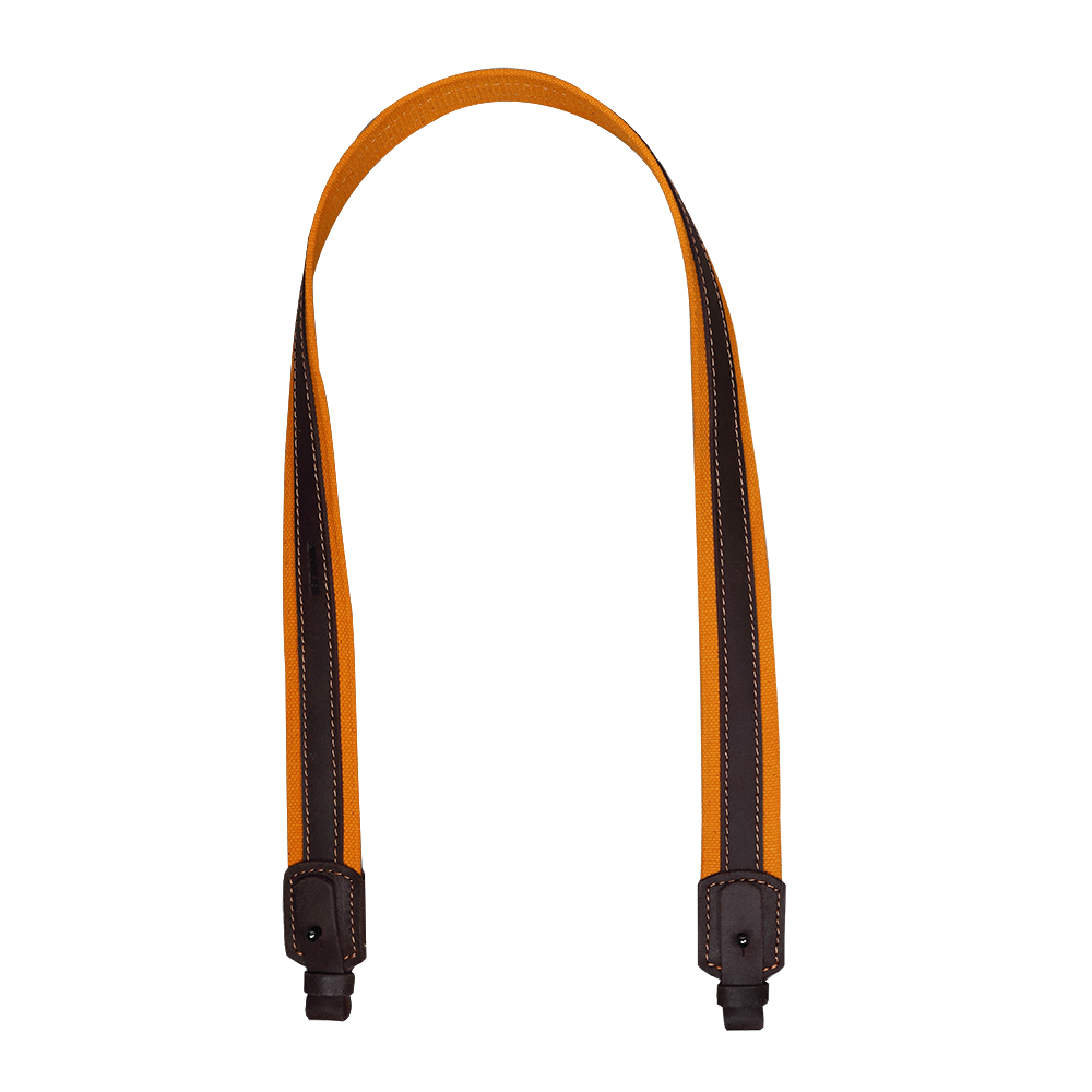 ΑΟΡΤΗΡΑΣ 2WOLFS BEAR