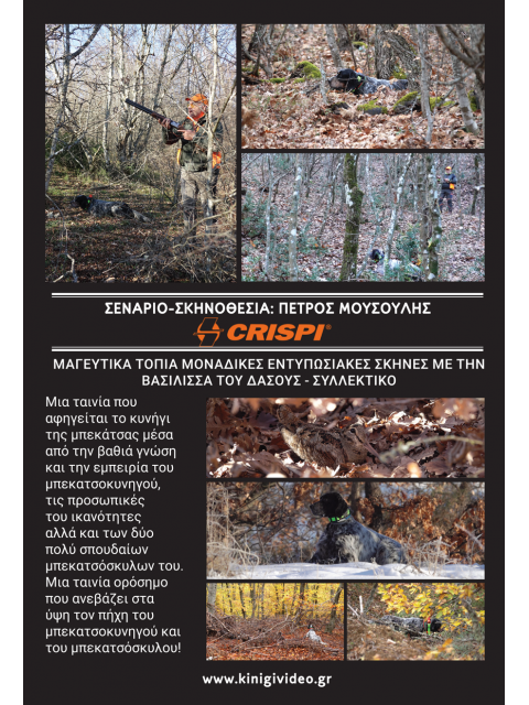 DVD ΜΠΕΚΑΤΣΟΚΥΝΗΓΟΣ 2024