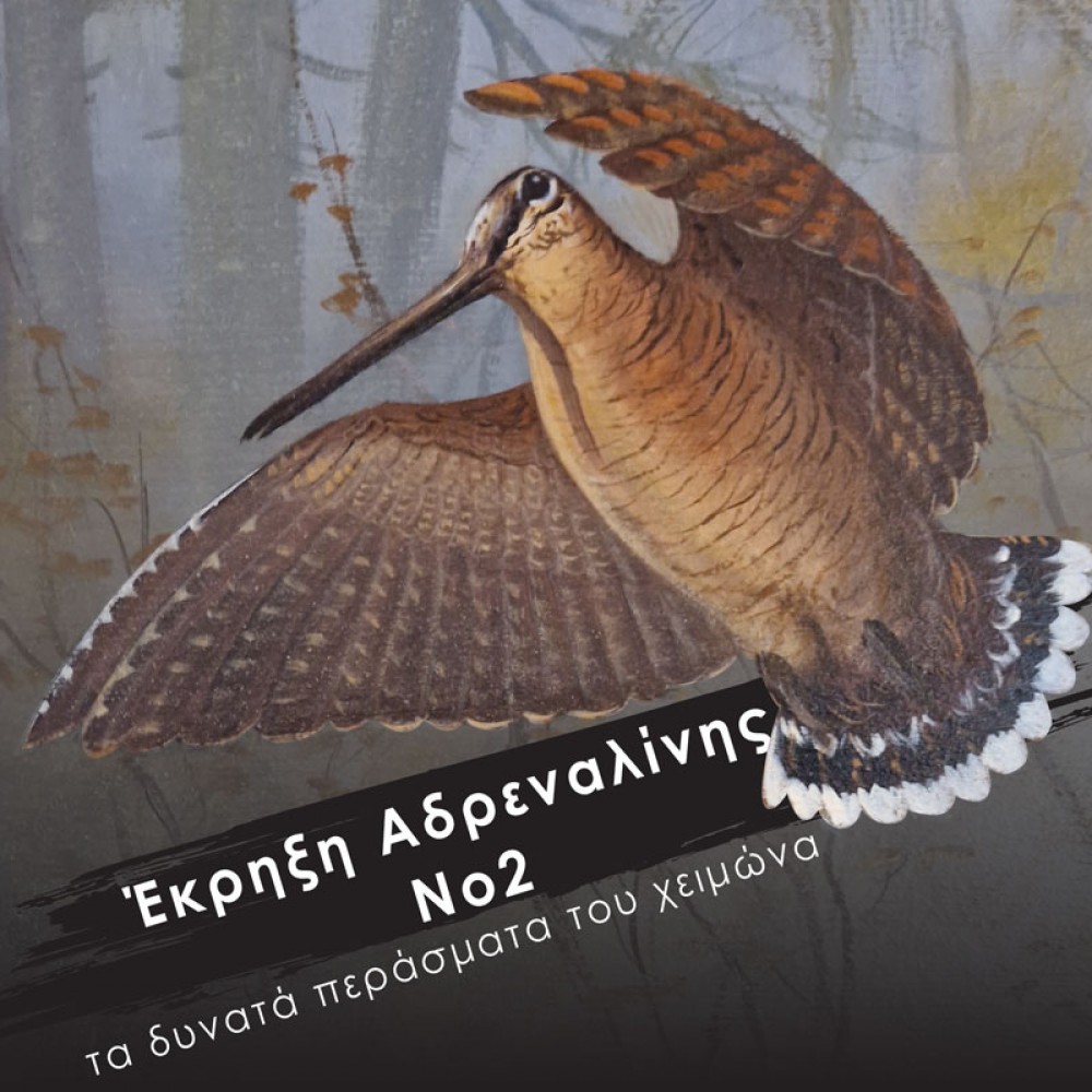 DVD ΕΚΡΗΞΗ ΑΔΡΕΝΑΛΙΝΗΣ Νο2 ΤΑ ΔΥΝΑΤΑ ΠΕΡΑΣΜΑΤΑ ΤΟΥ ΧΕΙΜΩΝΑ