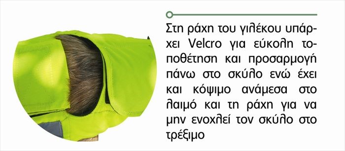 Γιλέκο προστασίας σκύλων OUTDOOR ALPHA PRO Τ70